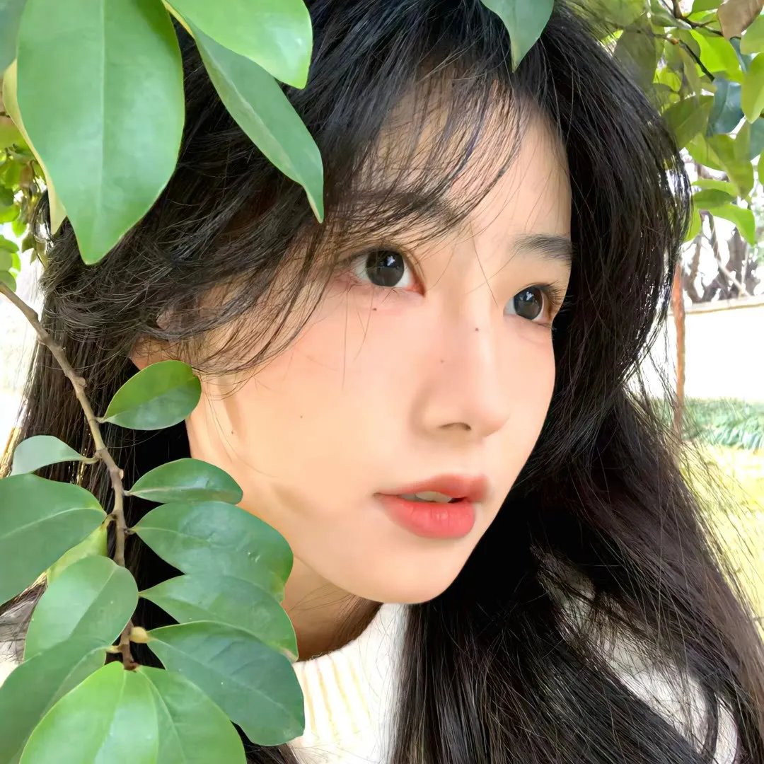 恋情告急